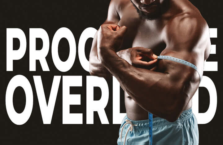 Introduction to GymPins and Muscle Building